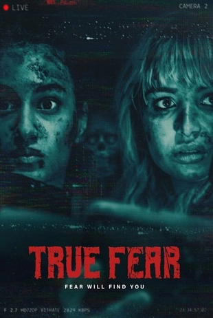 Poster des Abruftitels 35