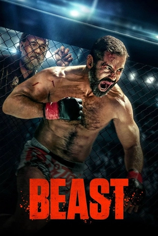 Poster des Abruftitels 43